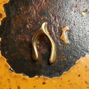 FREE Wishbone pendant